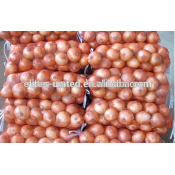 Exportação de cebola fresca em Qingdao China